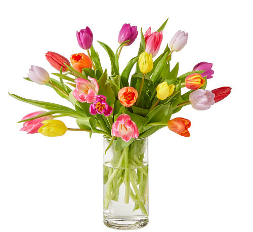 FTD Let's Talk Tulips! Bouquet