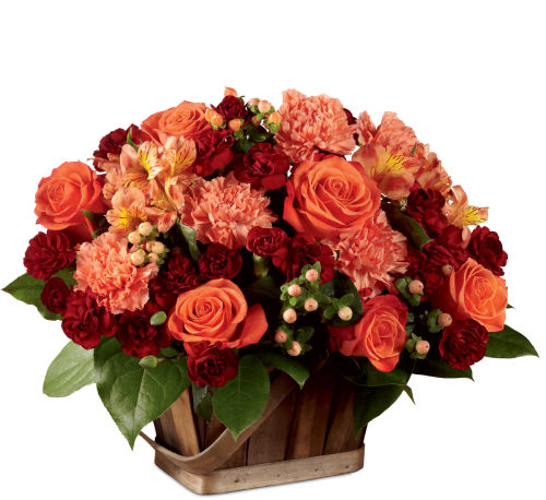 premium flowers