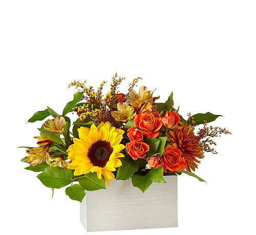 standard flowers