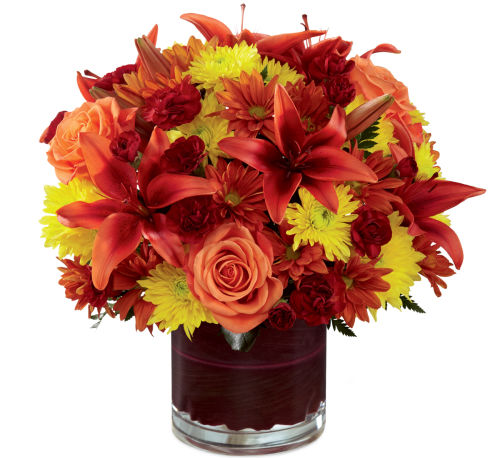 premium flowers