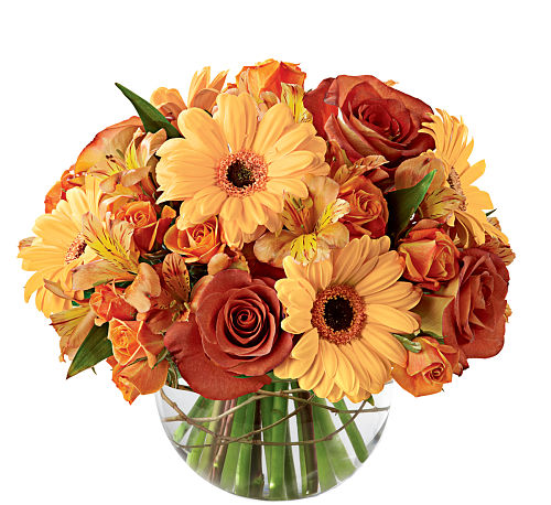 premium flowers