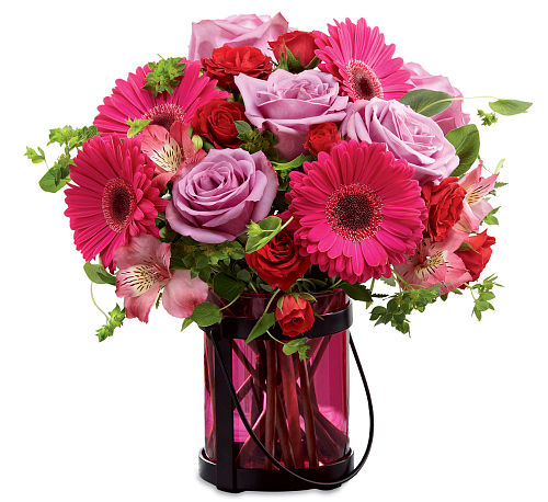 premium flowers