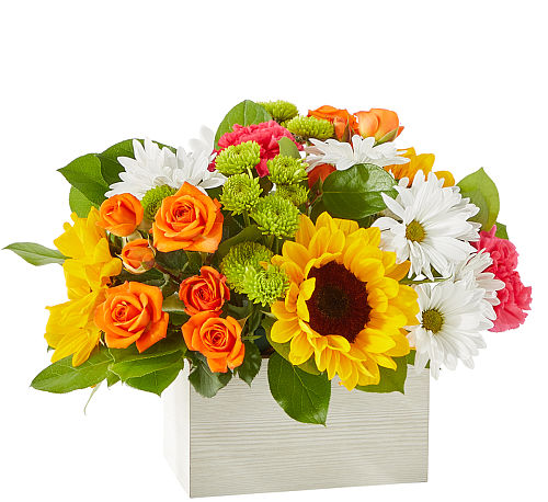 FTD Sun-Drenched Blooms Box