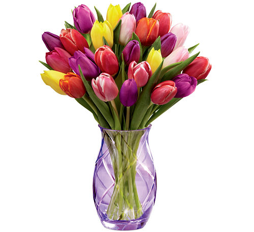 premium flowers