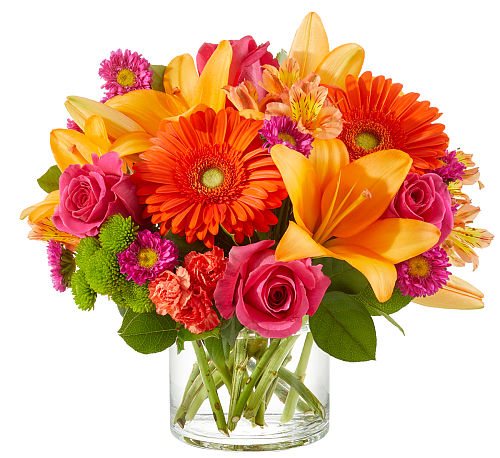 premium flowers