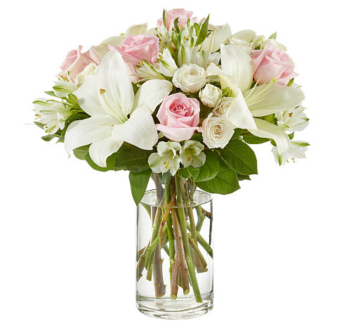 premium flowers