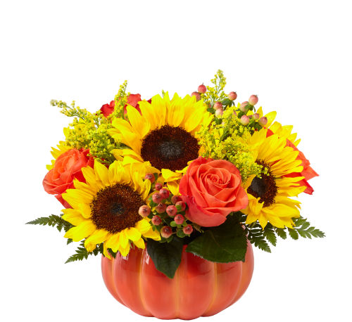  FTD® Harvest Traditions Pumpkin