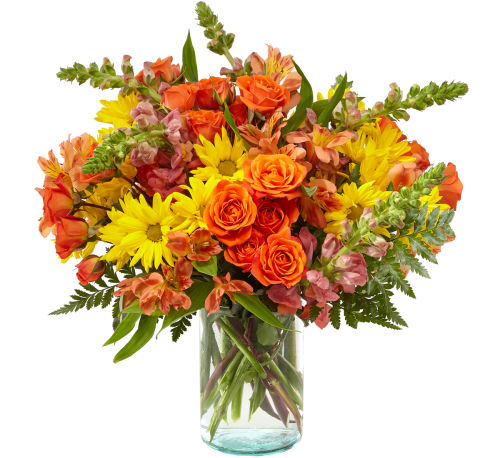 premium flowers
