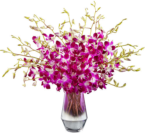 FTD® Pink at Heart Orchid Bouquet
