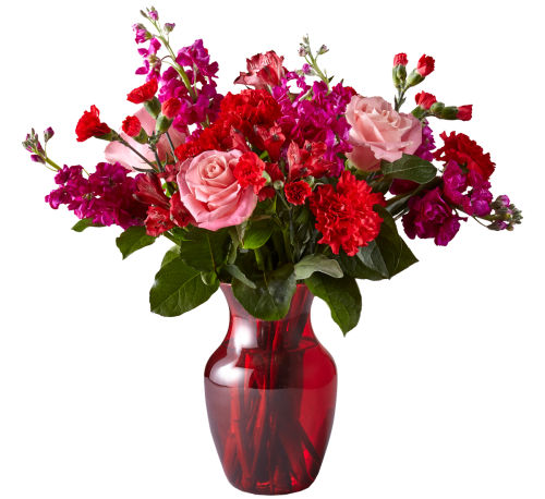premium flowers