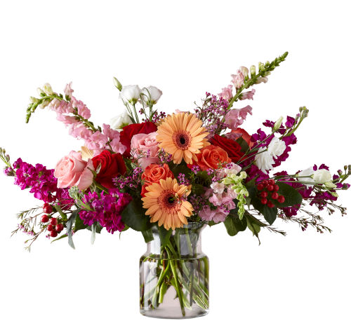 premium flowers