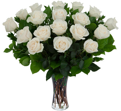 Eighteen White Roses