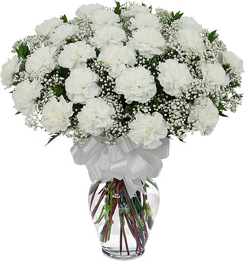 Two Dozen White Carnations #FN9AA · Funeral & Sympathy Flowers · Canada