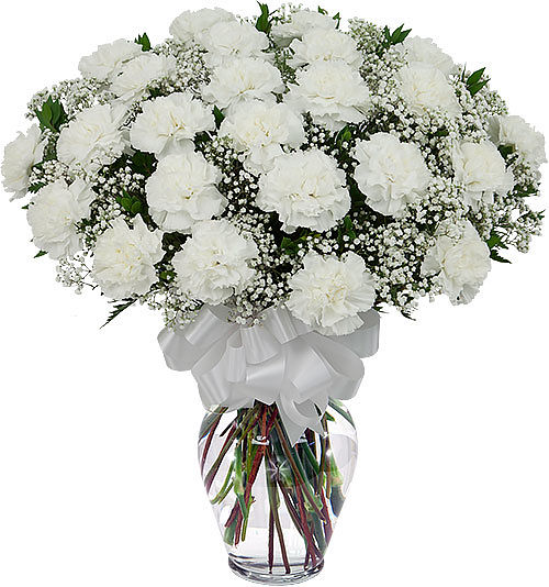 Two Dozen White Carnations