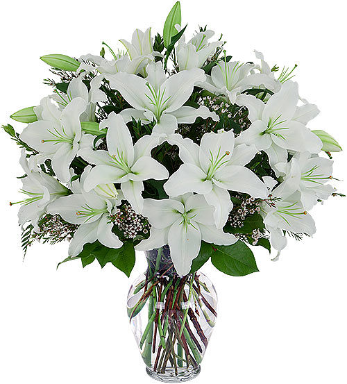 White Lily Tribute