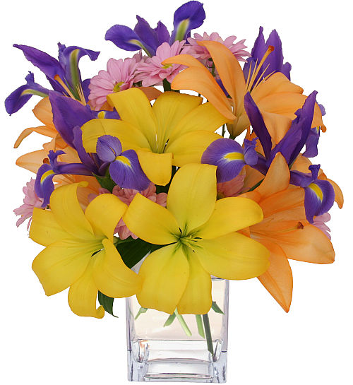 Costco Funeral Flowers Canada - Teleflora's Purest Love ...