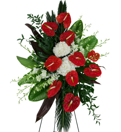Red Anthurium Spray