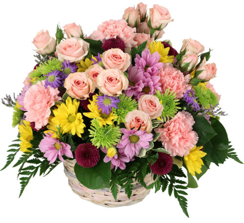 premium flowers
