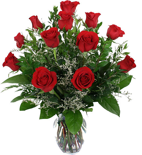 Classic Red Roses