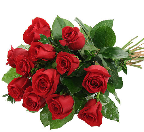 Download Red Rose Bouquet Ita12aa Italy Flower Delivery Canada Flowers Ca Free HD Wallpaper Red Rose Bouquet Ita12aa Italy Flower Delivery Canada Flowers Ca For Android Free
