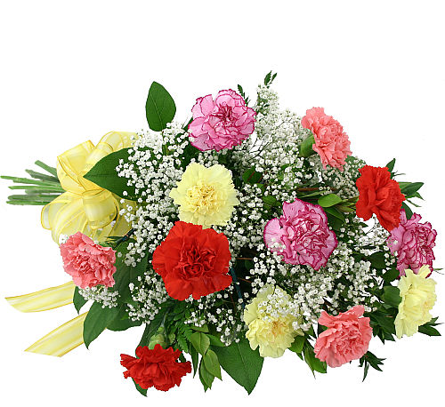 Rainbow Carnation Bouquet