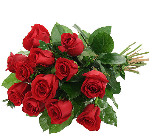 Canada Flowers.ca | Red Rose Bouquet #JPA4AA · Japan Flower Delivery
