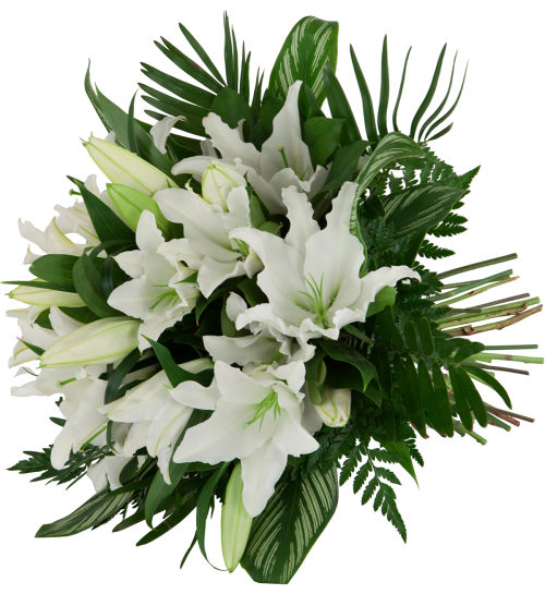 Lilies Delivery · White Lily Bouquet LI5AA · Canada Flowers