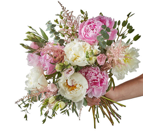 standard flowers