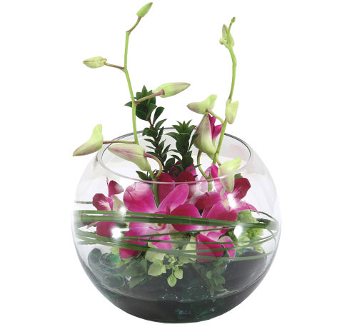 Canada Flowers | Rondure #OC13AA