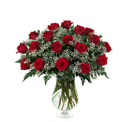 18 Red Roses