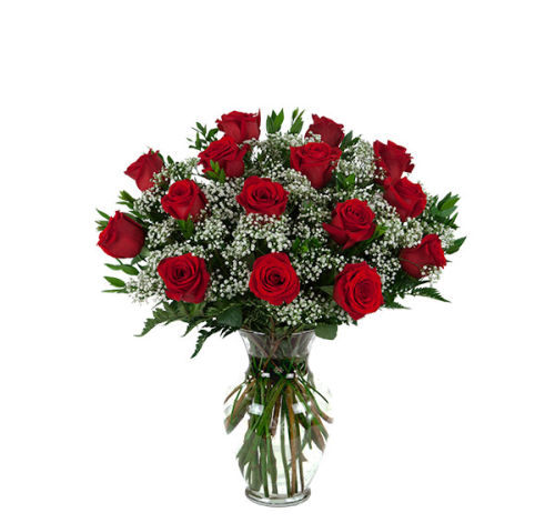 15 Red Roses