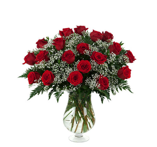 19 Red Roses