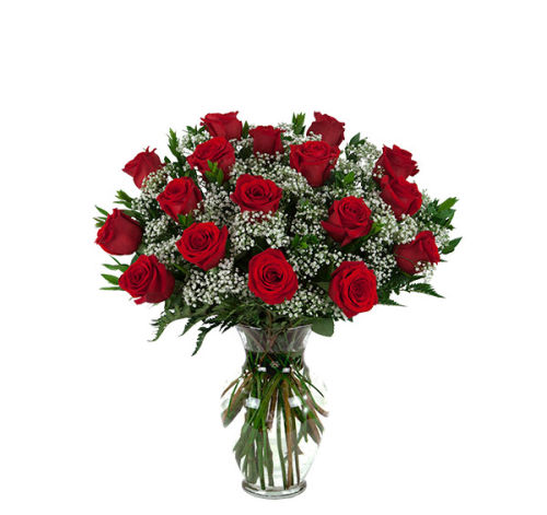 17 Red Roses