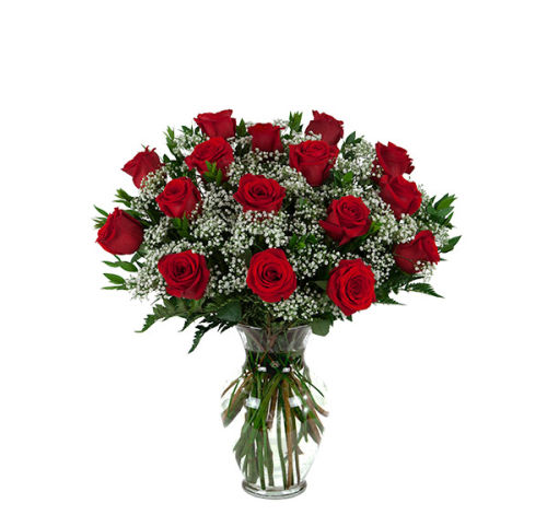16 Red Roses
