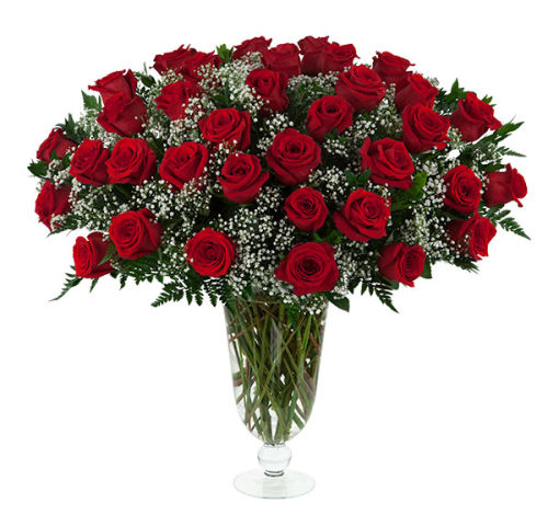 35 Red Roses
