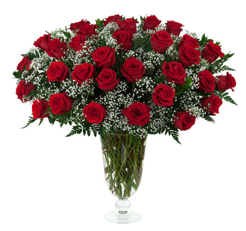 31 Red Roses