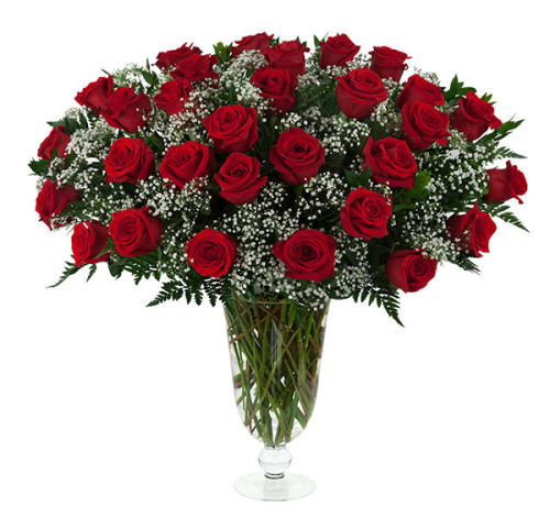 30 Red Roses