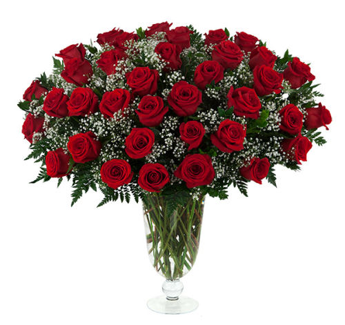 36 Red Roses