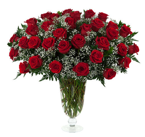 33 Red Roses