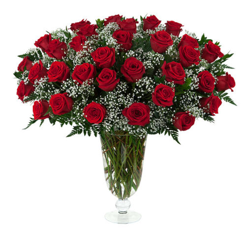 32 Red Roses