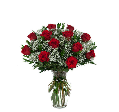 12 red roses valentines