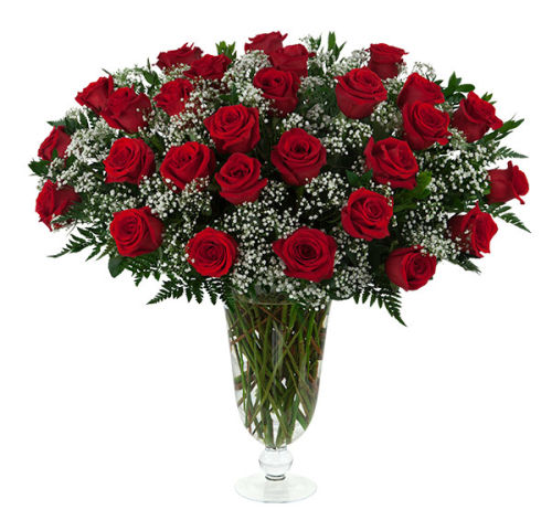 28 Red Roses