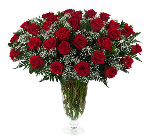 29 Red Roses