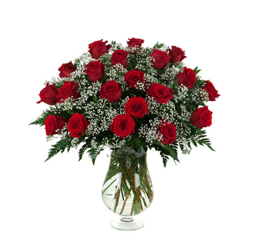 20 Red Roses