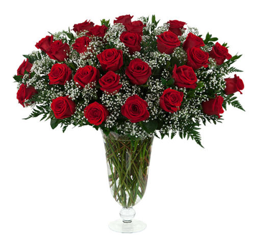 27 Red Roses