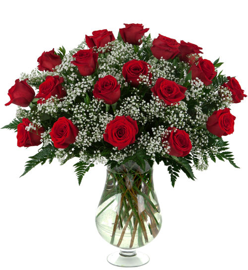18 Beautiful Roses Canada Flowers | 18 Red Roses #RO32AA