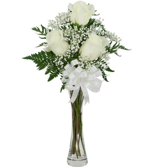 3 White Roses