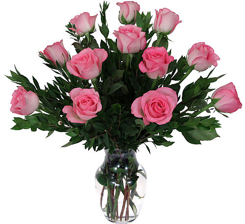 Canada Flowers | 12 Pink Roses #RO11AA