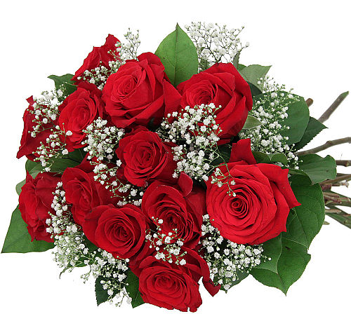 Roses Delivery · Twelve Red Roses #RO20AA · Canada Flowers