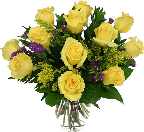 12 Yellow Roses